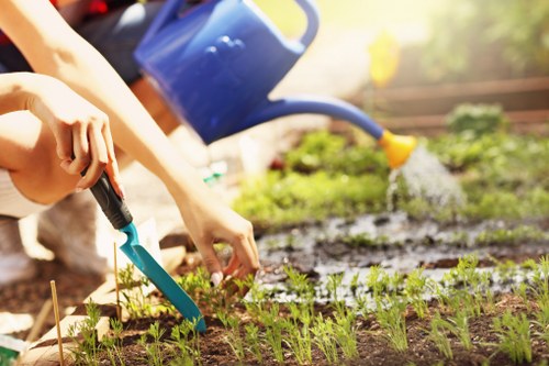 Gardeners working in Elmers End on a tidy residential garden