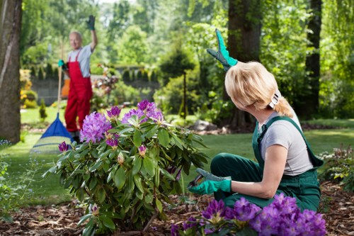 Illustration representing essential cookies for Gardeners Elmers End