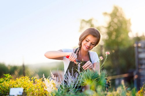 Gardening service terms and conditions introduction