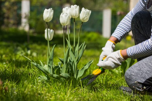 Screen-reader friendly information for accessible gardeners in Elmers End