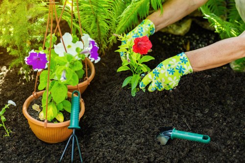 Local gardening work in Elmers End on a healthy, balanced garden