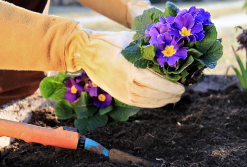 Keyboard navigation and accessible content for Gardeners Elmers End