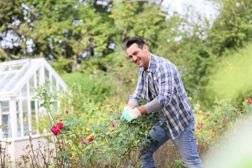 Lawn mowing and hedge trimming for garden maintenance in Elmers End