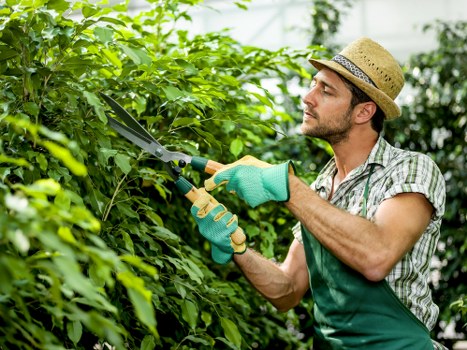 SSL encrypted Gardeners Elmers End payment process graphic
