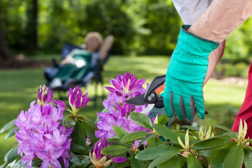 Elmers End garden design with lawn, path, and structured borders