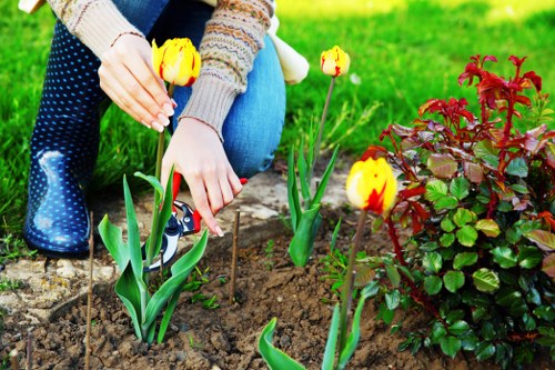 Garden waste and debris removal in Elmers End