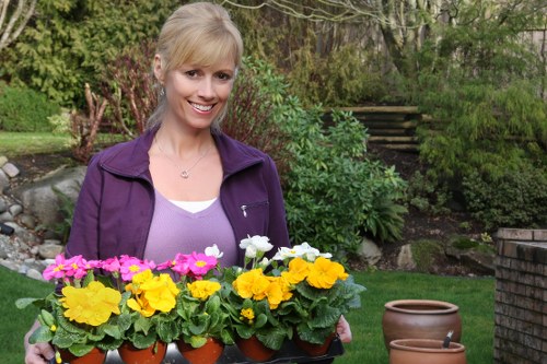 Seasonal lawn maintenance work in Elmers End garden setting