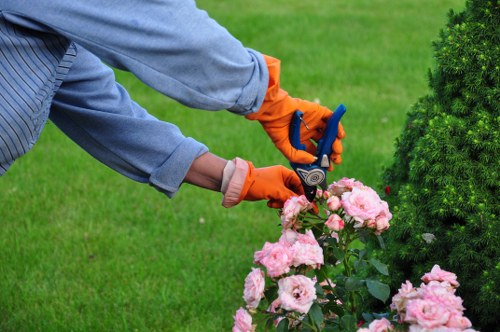 Free quote discussion for a garden maintenance job in Elmers End