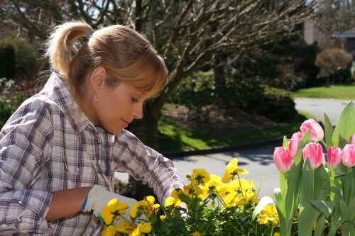 Garden team managing tools and hazards during outdoor work
