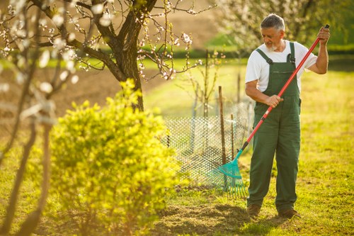 Professional lawn treatment and mowing in Elmers End