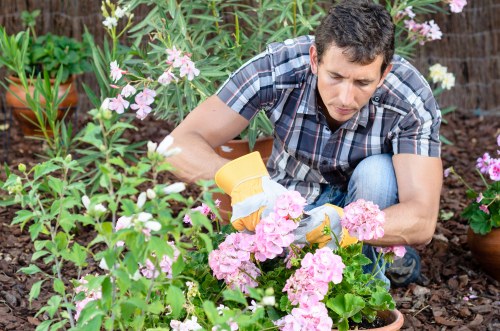 Professional response to a gardening complaint